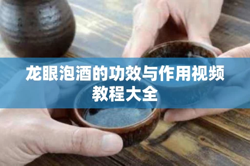 龙眼泡酒的功效与作用视频教程大全