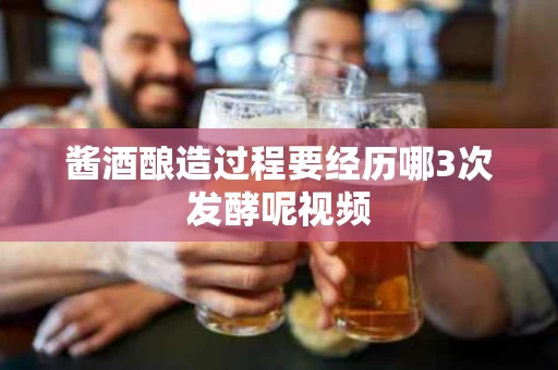 酱酒酿造过程要经历哪3次发酵呢视频