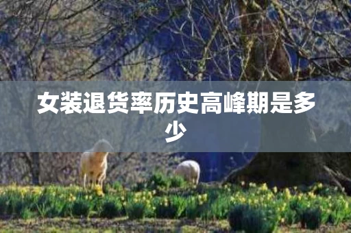 女装退货率历史高峰期是多少