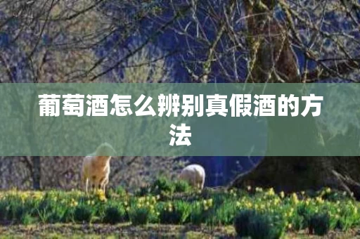 葡萄酒怎么辨别真假酒的方法