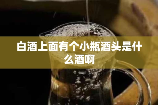 白酒上面有个小瓶酒头是什么酒啊