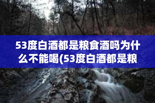 53度白酒都是粮食酒吗为什么不能喝(53度白酒都是粮食酒吗为什么不能喝呢)
