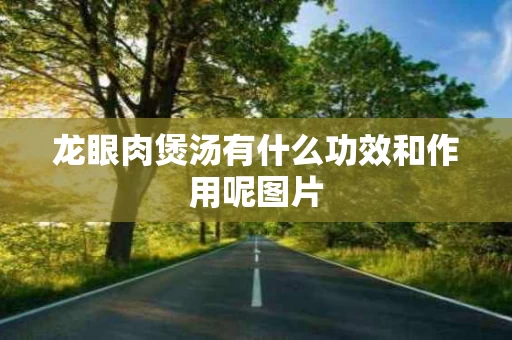 龙眼肉煲汤有什么功效和作用呢图片