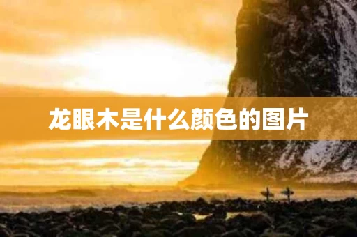 龙眼木是什么颜色的图片