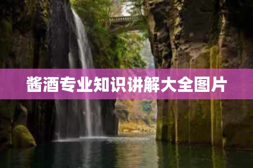 酱酒专业知识讲解大全图片
