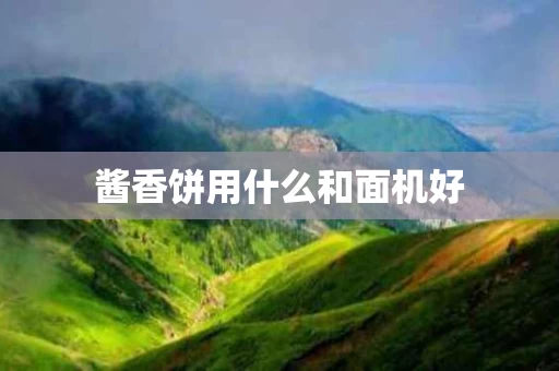 酱香饼用什么和面机好