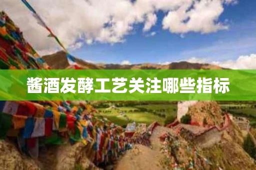 酱酒发酵工艺关注哪些指标