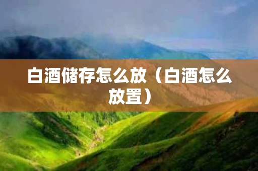 白酒储存怎么放（白酒怎么放置）