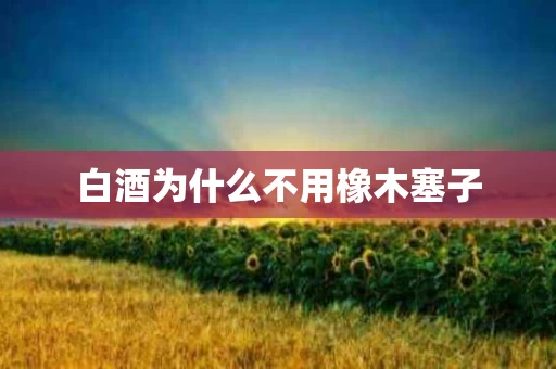 白酒为什么不用橡木塞子