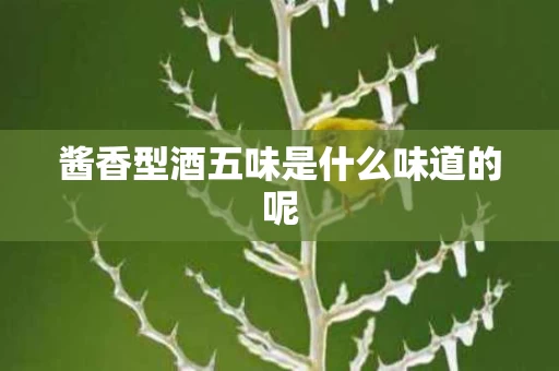 酱香型酒五味是什么味道的呢
