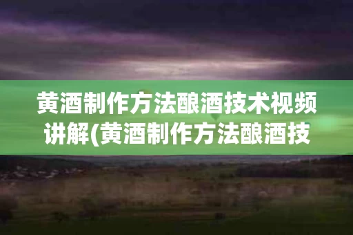 黄酒制作方法酿酒技术视频讲解(黄酒制作方法酿酒技术视频讲解大全)