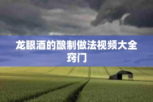 龙眼酒的酿制做法视频大全窍门