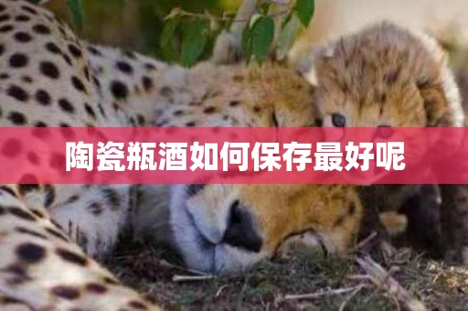 陶瓷瓶酒如何保存最好呢