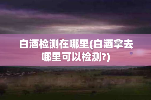 白酒检测在哪里(白酒拿去哪里可以检测?)