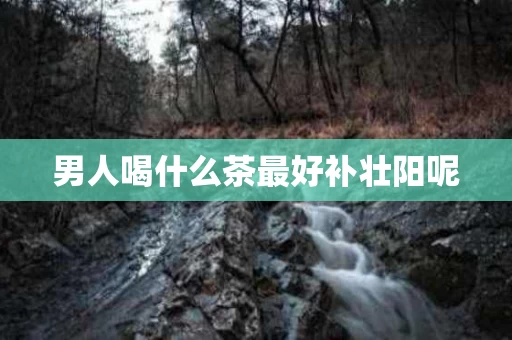 男人喝什么茶最好补壮阳呢