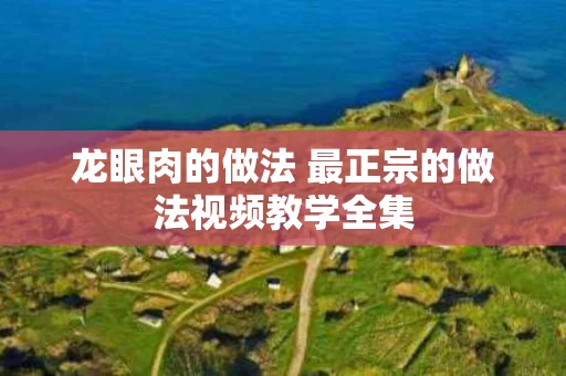龙眼肉的做法 最正宗的做法视频教学全集
