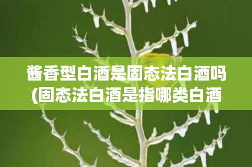 酱香型白酒是固态法白酒吗(固态法白酒是指哪类白酒？)