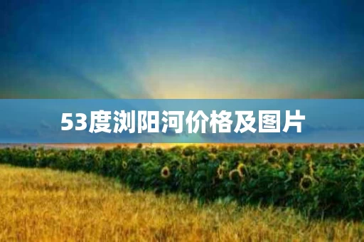 53度浏阳河价格及图片