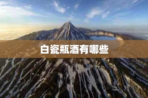 白瓷瓶酒有哪些