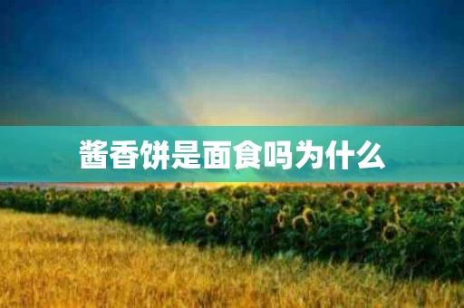 酱香饼是面食吗为什么