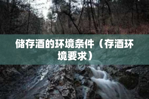 储存酒的环境条件（存酒环境要求）