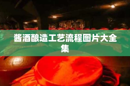 酱酒酿造工艺流程图片大全集
