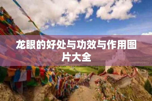 龙眼的好处与功效与作用图片大全