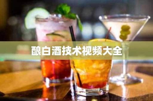 酿白酒技术视频大全