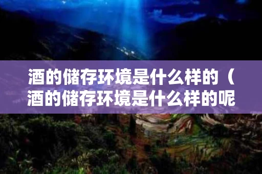 酒的储存环境是什么样的（酒的储存环境是什么样的呢）