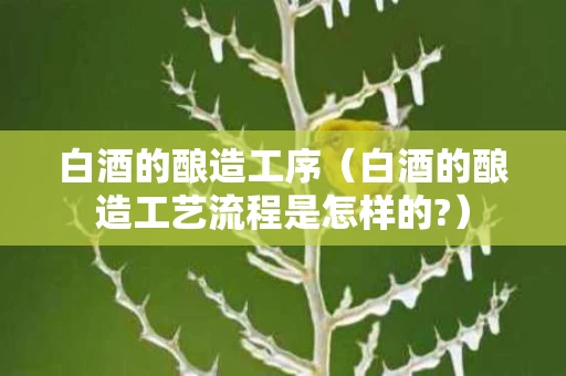 白酒的酿造工序（白酒的酿造工艺流程是怎样的?）