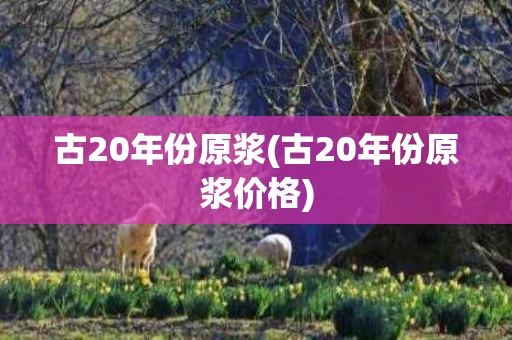 古20年份原浆(古20年份原浆价格)