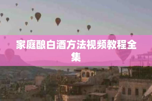 家庭酿白酒方法视频教程全集