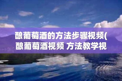 酿葡萄酒的方法步骤视频(酿葡萄酒视频 方法教学视频)