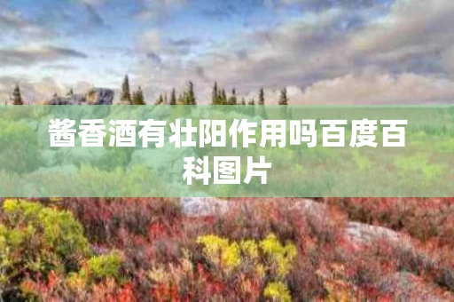 酱香酒有壮阳作用吗百度百科图片