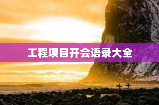 工程项目开会语录大全