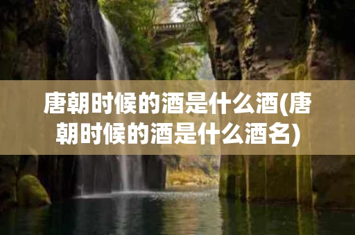 唐朝时候的酒是什么酒(唐朝时候的酒是什么酒名)