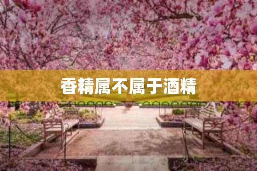 香精属不属于酒精