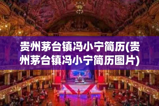 贵州茅台镇冯小宁简历(贵州茅台镇冯小宁简历图片)