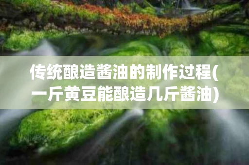 传统酿造酱油的制作过程(一斤黄豆能酿造几斤酱油)