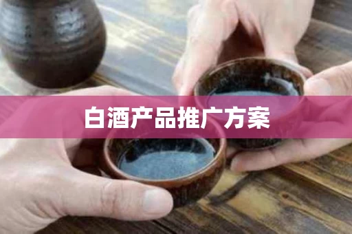 白酒产品推广方案