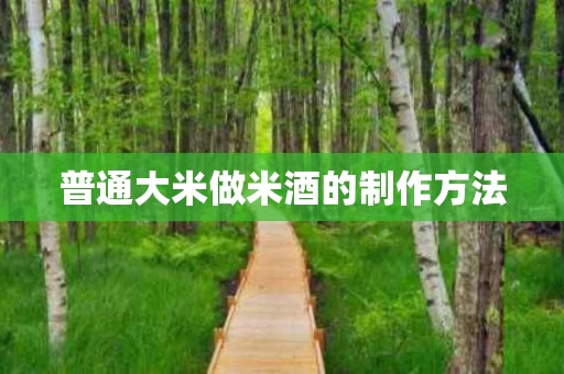 普通大米做米酒的制作方法