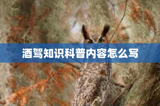 酒驾知识科普内容怎么写