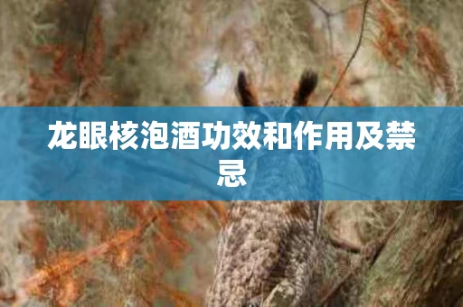 龙眼核泡酒功效和作用及禁忌