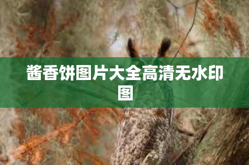 酱香饼图片大全高清无水印图