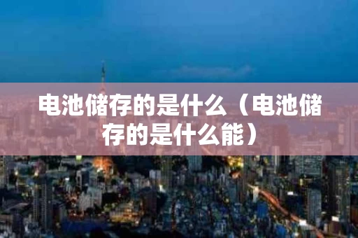 电池储存的是什么（电池储存的是什么能）