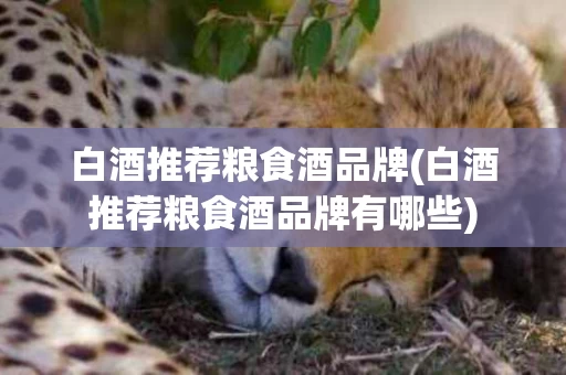 白酒推荐粮食酒品牌(白酒推荐粮食酒品牌有哪些)