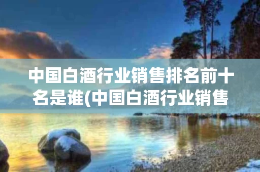 中国白酒行业销售排名前十名是谁(中国白酒行业销售排名前十名是谁做的)