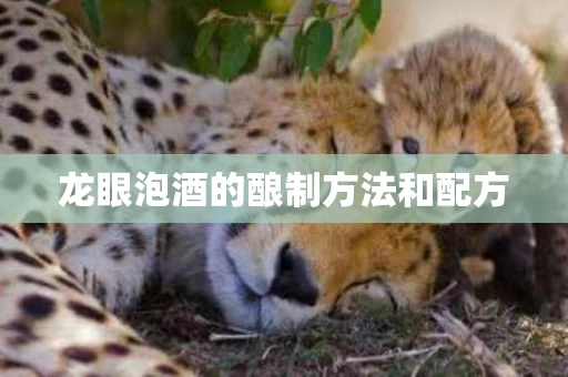 龙眼泡酒的酿制方法和配方