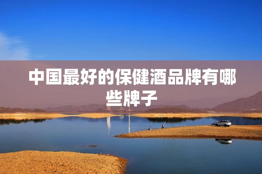中国最好的保健酒品牌有哪些牌子
