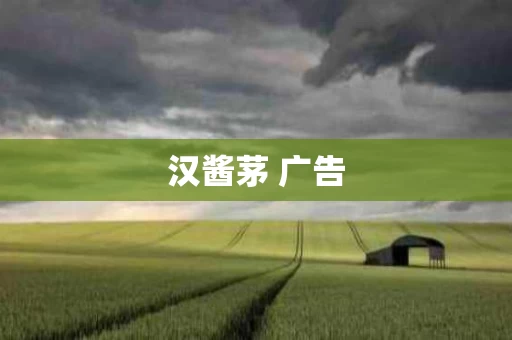 汉酱茅 广告